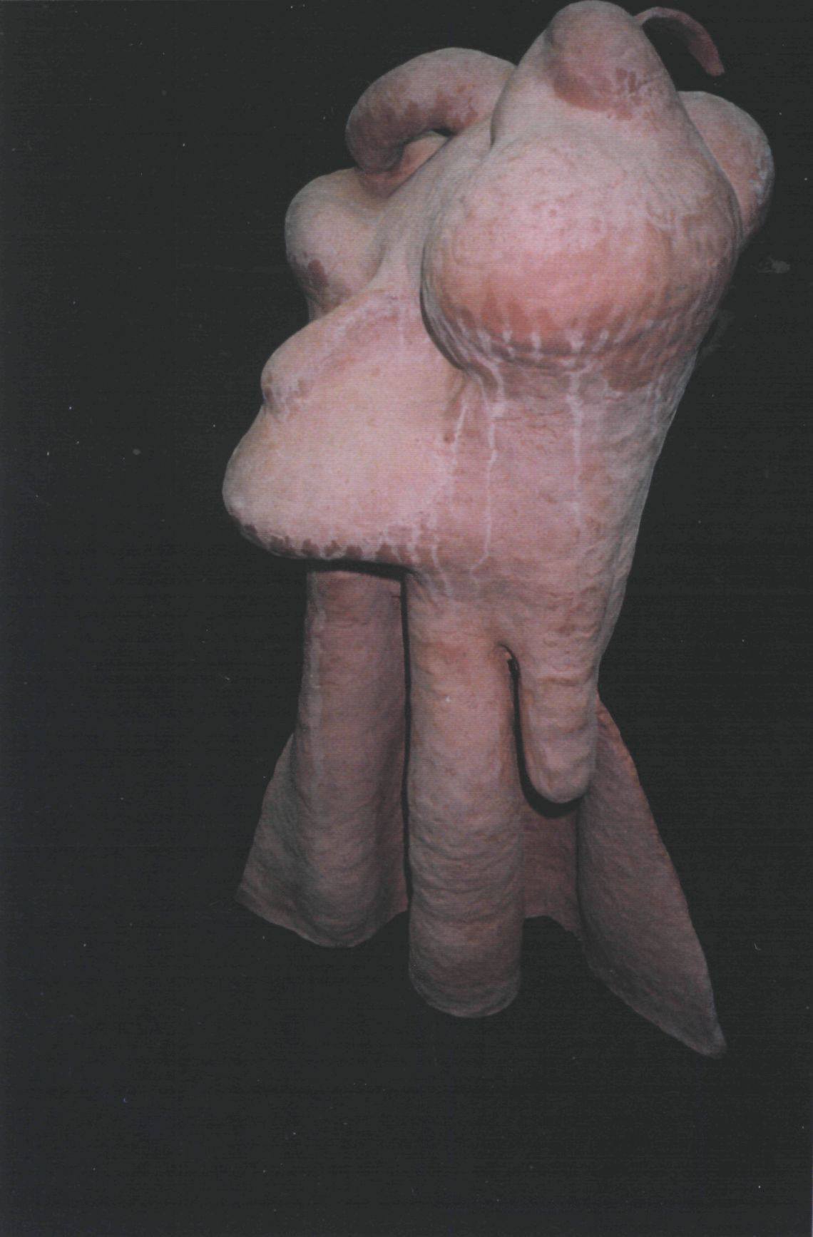 Image 50